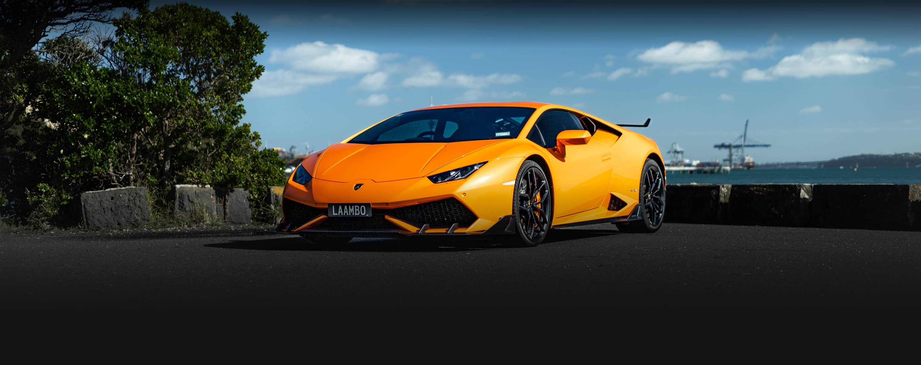 Lamborghini Vehicles - banner
